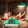 500W Heat Lamp Light for Piglets Animal Enclosures and Bathroom Shower Heating