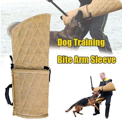 Köpek – Eğitim ve Öğretim Araçları