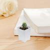 Nursery Plant Pots Breathable Bonsai Plant Pot 10X Seedling Small Holder With Drainage Holes For Flower Succulents Cuttings Yard