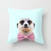 High-quality Polyester Cartoon Animal Pillow Case Cover For Sofa And Home Decor