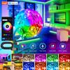 Tuya Bluetooth RGB 5050 LED Strip Light Remote App Control TV Led Backlight Flexible Ribbon Tape USB PC Gaming Room Decoration