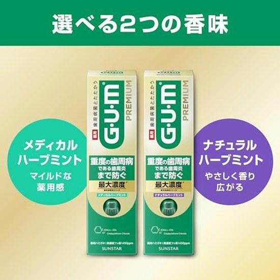 GUM Premium Quasi-Drug Periodontal Disease Prevention Toothpaste Dental Paste (Medical Herb Mint) Gold Medicinal Protective Ingredients Maximum CPC +