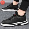 Men's Shoes Spring and Autumn Breathable Board Shoes Men's Trendy British Sports Shoes Single Cotton Men's Casual Shoes