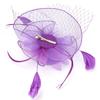 Ladies Gauze Hat Bridal Wedding Birdcage Fascinator   Hair Accessory (Red)