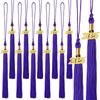 10Pcs Graduation Tassel with Date Mortarboard Tassel Fringe for Graduation Party Decorations Accesorios Graduation Hat Tassel