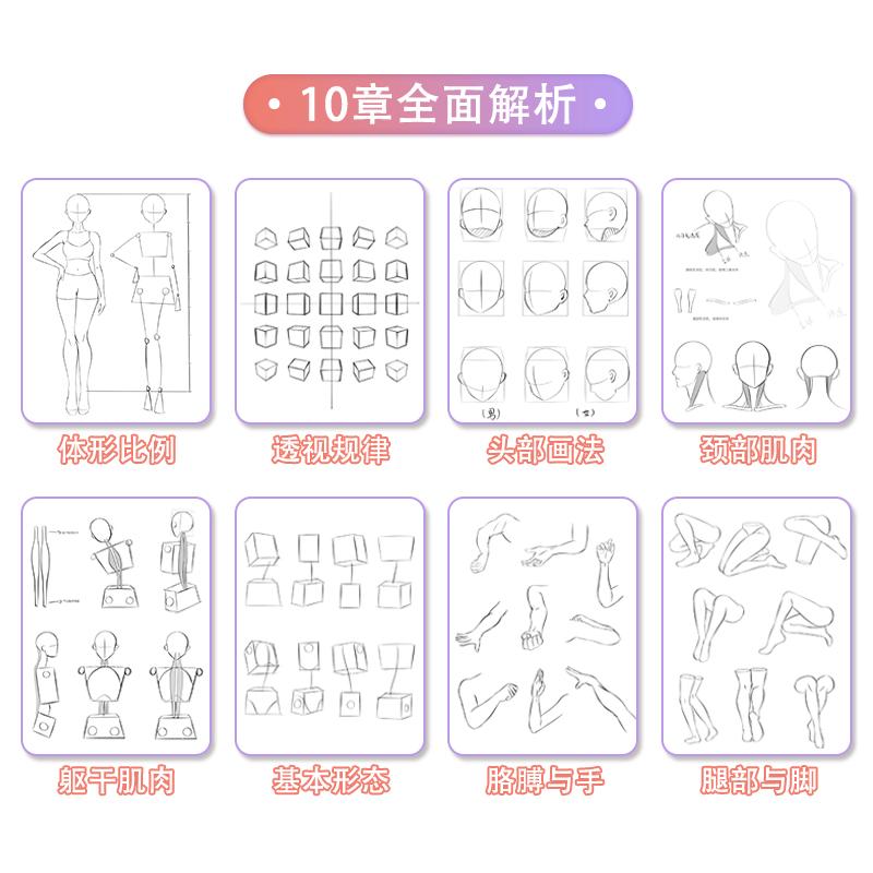 Anime-Charaktere Nachzeichnungs-Skizze Handbemaltes Tutorial-Buch Aufbau des menschlichen Körpers Kopierübungen Linienentwurf Übungsbücher