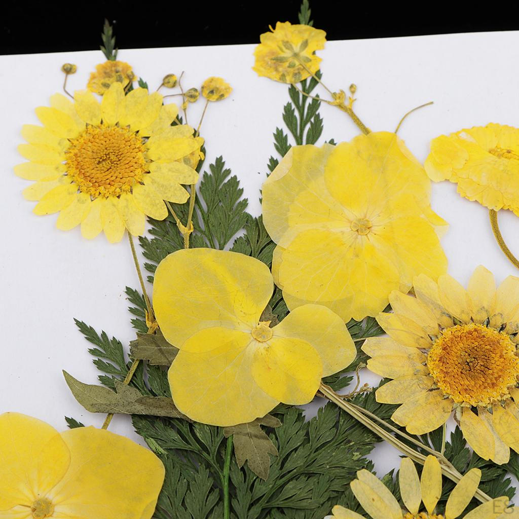 25 Dried Flowers Leaves for Nails Handmade Resin Jewelry Making Materials