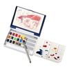 Holbein Solid Watercolor Paint Artist Pancolor PN694 18 Color Set Box 02694 (Palm Plus)