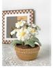 Crochet Tulip & Daisy Potted Bouquet Kit - Yarn Flowers & Ornaments