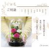 Art for Seasons Preserved Flowers (Pink)