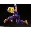 S.H.Figuarts Super Saiyan Son Gohan Warrior Who Surpassed Goku