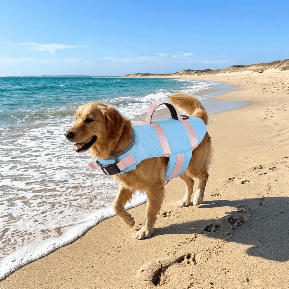 High Flotation Pet Life Vest Adjustable Pet Surfing Costume Dog Life Jacket Swimming