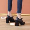 Mode 2024 Frühling und Herbst Neue High Heels Damen Britischer Stil Dicke Absätze Mode Schnürschuhe Tiefer Ausschnitt Kleine Lederschuhe