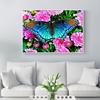 5D DIY Diamond Painting Animal Butterfly Full Round Embroidery Sale Rhinestone Picture