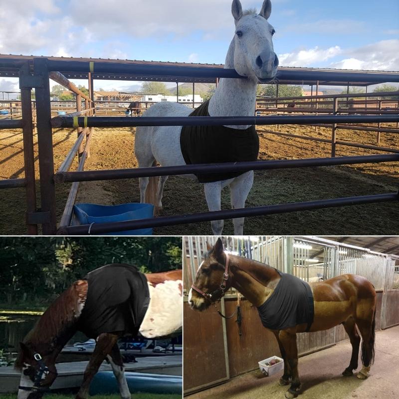 Horse Shoulder Guard AntiRub Bib Chest Saver Stretchy Horse Protective Vest Breathable Horse Rugs Horse Chest Saver