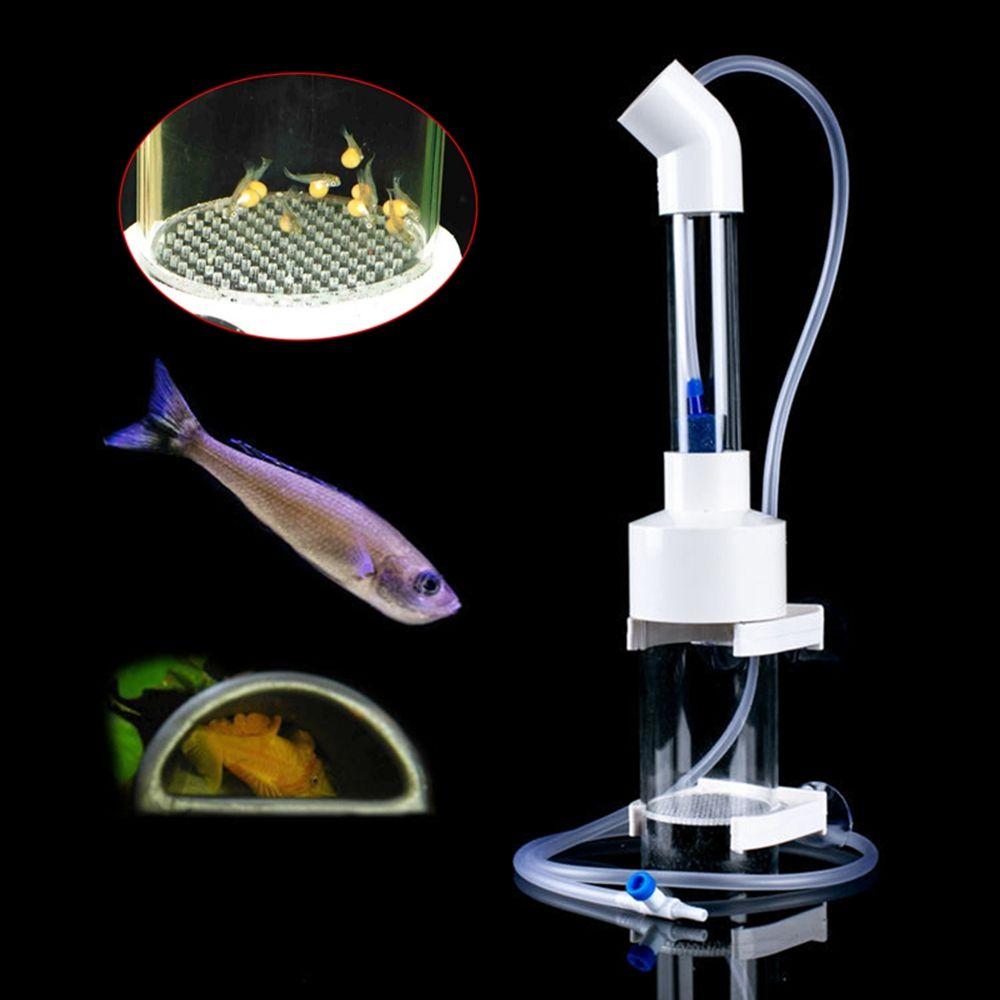 Cichlids Aquarium Fish Fish Tank Supplies Tumbler Incubator Fish Incubator Hatchery Egg Tumbler