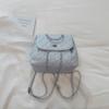 Quilted Chain Shoulder Bag for Women Fashionable Handbag with Adjustable Strap Elegant Daily Use Crossbody Bag