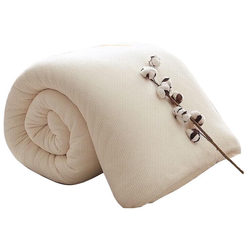 Jinglangtu 100% Cotton All-Season Duvet Insert