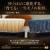 M.MOWBRAY (M. Mowbray) Polishing and Finishing Brush, Made In Japan, Boar Bristle Brush, SANOHATA Brush