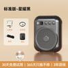 Zhuopu S27 Little Bee Wireless Voice Amplifier