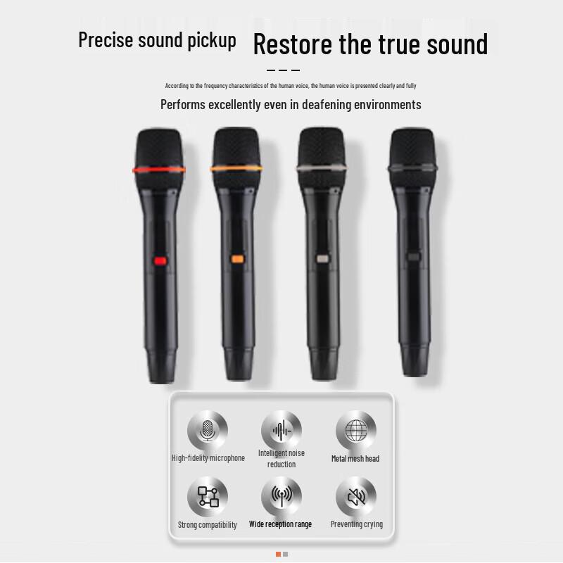 SAST Portable KTV Speaker System CN Plug (adapter Included)