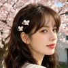 Girl Hairpin Butterfly Decor Easy To Wear Hair Clip Side Bang Hair Organizer Clip Festival Events Cosplay Hair Accessory