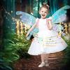 with Light Music Fairy Angel Wing  Halloween Christmas Birthday Party Decor