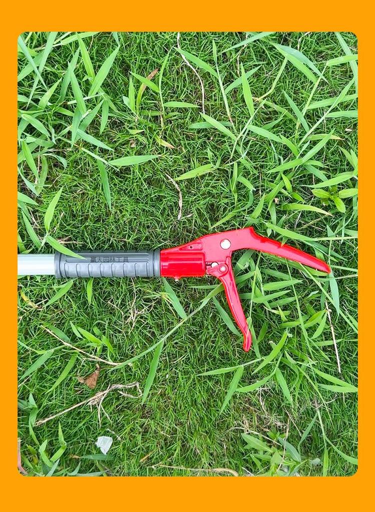 High-Altitude Telescopic Fruit Picking and Pruning Shears for Loquats, Lychees, and Longans