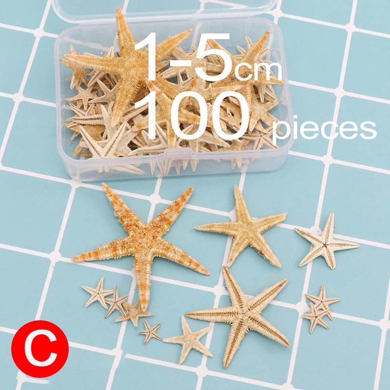 100pcs Natural Starfish Seas Beach Craft Diy Wedding Home Decor At Affordable S Free Shipping Real Reviews With Photos Joom - Starfish Home Decor 100pcs Natural Starfish Seas Beach Craft Diy Wedding Home Decor At Affordable S Free Shipping Real Reviews With Photos Joom - Starfish Home Decor