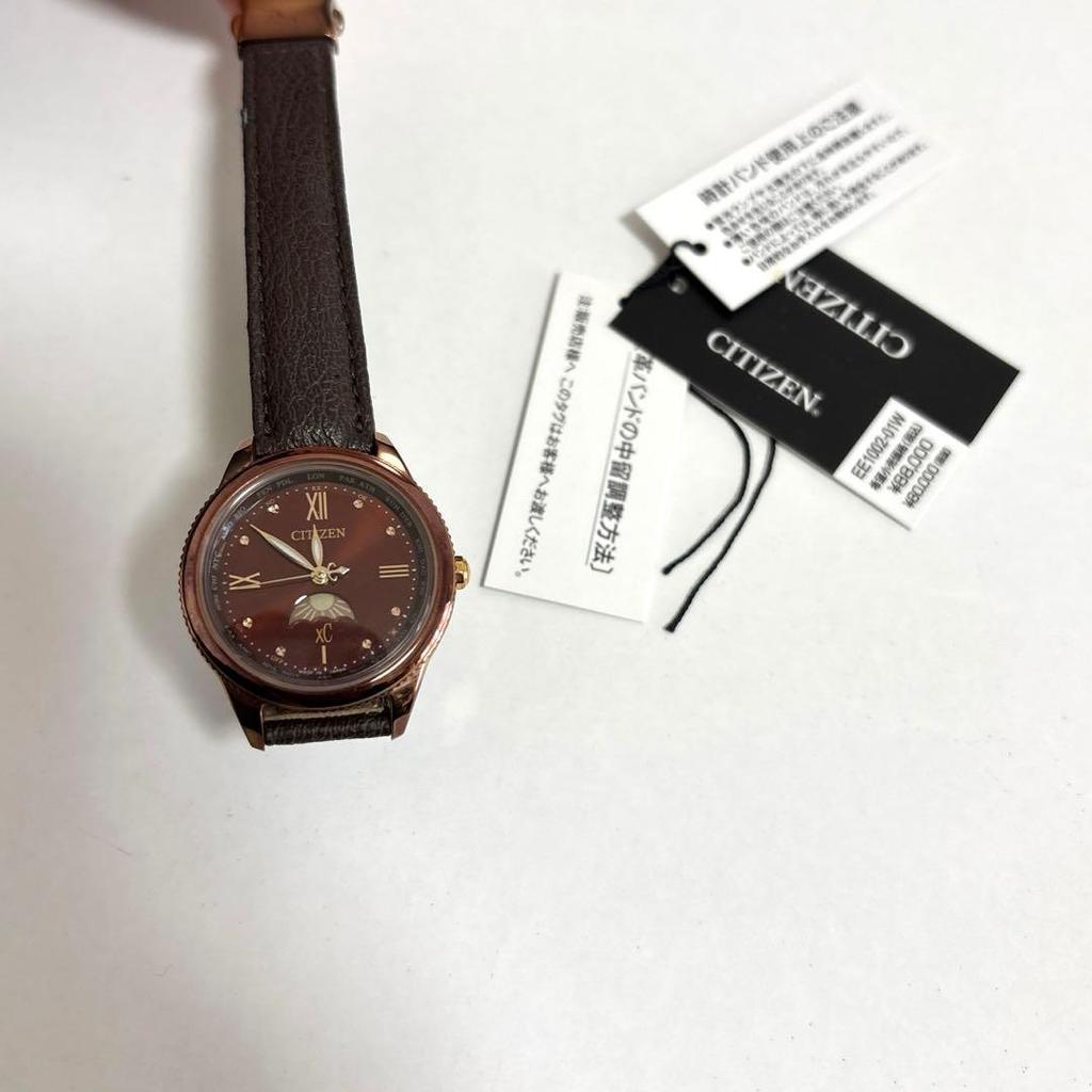 Used CITIZEN Women's EE1002-01W Red Brown