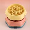 Non-Slip Slow Feeder Bowl for Small & Medium Dogs and Cats