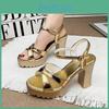 High Sandals Thick Heels Heels Waterproof Platform Buckle Strap Fish Mouth Sponge Cake Womens Shoes