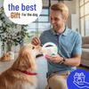 Squeaky Football Dog Toys: Hand-held, Interactive, Energy-Boosting Fun for Pets