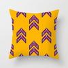 Luxury Home Decor Cushion Cover Office Sofa Cushion Cover Simple Fireworks Geometric Pattern Pillow Cover