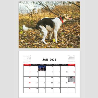 2026 Pooping Dog Calendar-Year Monthly Planner & Agenda Schedule Organizer Wall Calendar Funny Party Gag Gifts for Friends