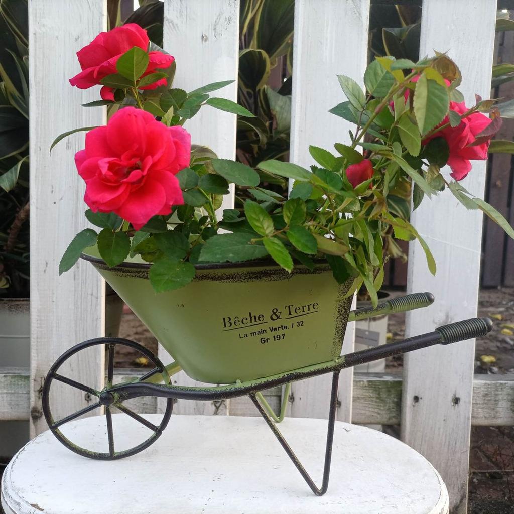 Klassische Eisenkunst Einradkarre für Gartendekorationen Metallschubkarre Kleiner Pflanzkasten Blumentöpfe Pflanzenbehälter Geschenk
