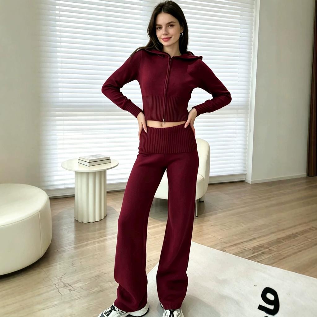 Europäische und amerikanische Mode lässiger Anzug Reißverschluss Kapuze Langarm Top einfarbig Mittelhohe gerade Hose zweiteiliges Set Damen
