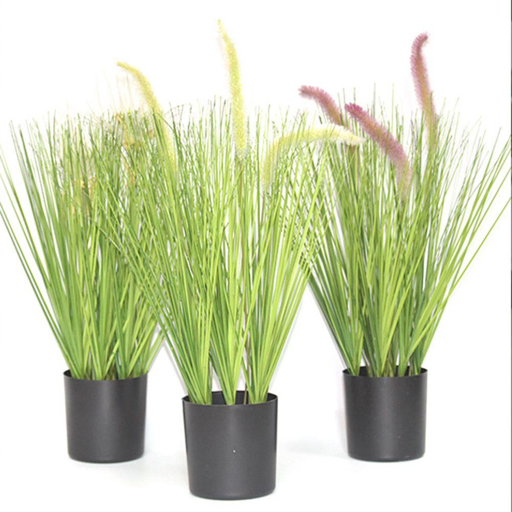 Kompakter schwarzer Pflanzenbehälter Sukkulentenbox Pflanztopf Blumentöpfe Pflanzgefäß