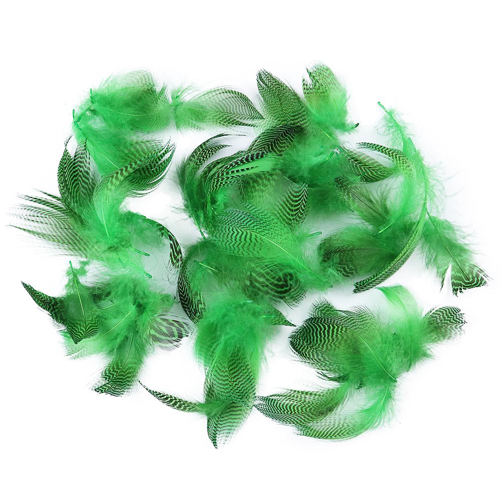 Duck Feather 50Pcs Black Stripe Goose Plumes Decoration For Crafts Artificial Feather 5-10Cm Green Soft Diy Supplies Accessories