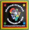 12inch Record IRATION STEPPAS, TENASTELIN - Dub Arena ISSS10 Iration Steppas 2011 UK Reggae, Ska & Dub Used