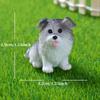 1/4pcs/Micro Landscape Resin Cute Simulation Color Puppy Gardening Ornaments Dog Home Decoration Crafts Samoyed Bichon
