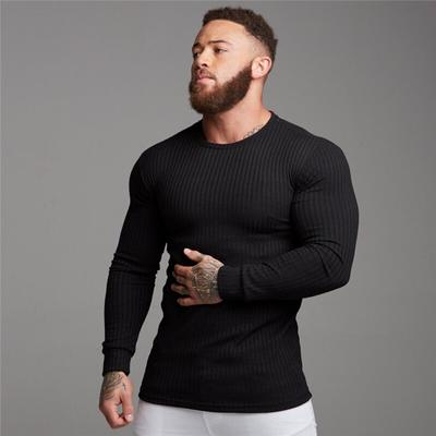 Abbigliamento da palestra lavorato a maglia primaverile e autunnale da uomo Fitness Slim Fit T-shirt sportiva a maniche lunghe Top alla moda
