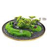 Large Hotel Dining Table Bonsai Centerpiece: Turntable Floral Art Resin Ornament.