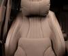 Lantu Dreamer Car Headrest Neck Pillow with Free Zhiyin Seat Cover