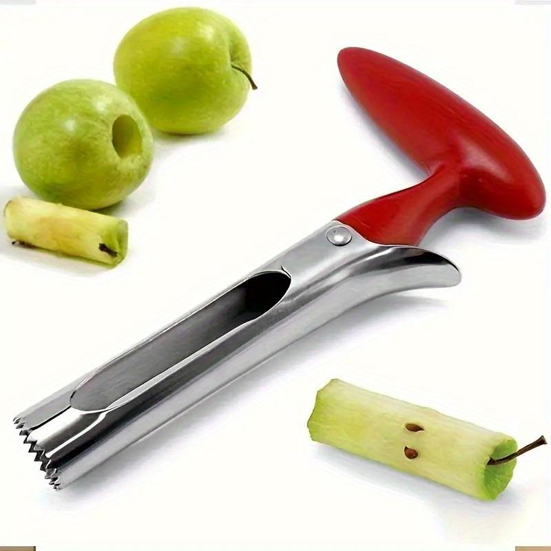 Stainless Steel Apple Corer, Fruit Corer with Plastic Handle, Easy Core Remover for Apples and Other Fruits