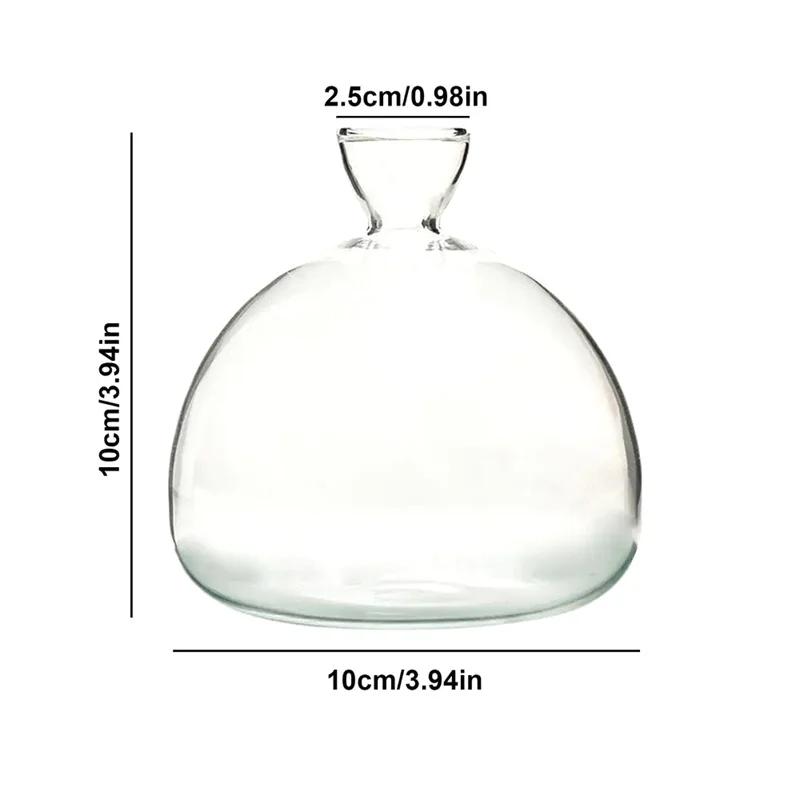 

Transparent Avocado Seed Growing Kit - Glass Vase for Plant Starters, Perfect for Gardening Enthusiasts