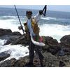 SANLIKE Iso Tama Extendable Fishing Net with Carbon Fiber Suitable for Freshwater and Saltwater 3m Set Handle, Ultra-lightweight, Fishing, Length.