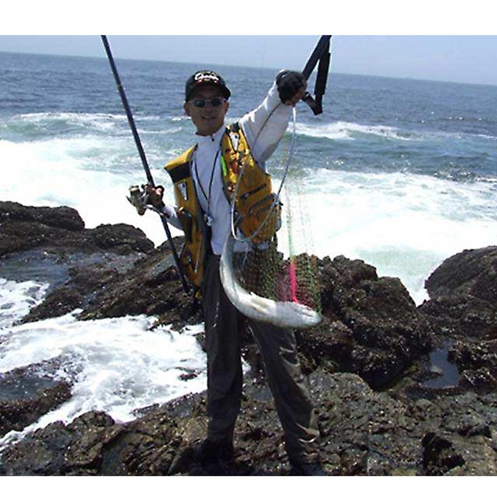 SANLIKE Iso Tama Extendable Fishing Net with Carbon Fiber Suitable for Freshwater and Saltwater 3m Set Handle, Ultra-lightweight, Fishing, Length.