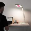 Flicker-Free Full Spectrum Study Desk Lamp for Teens