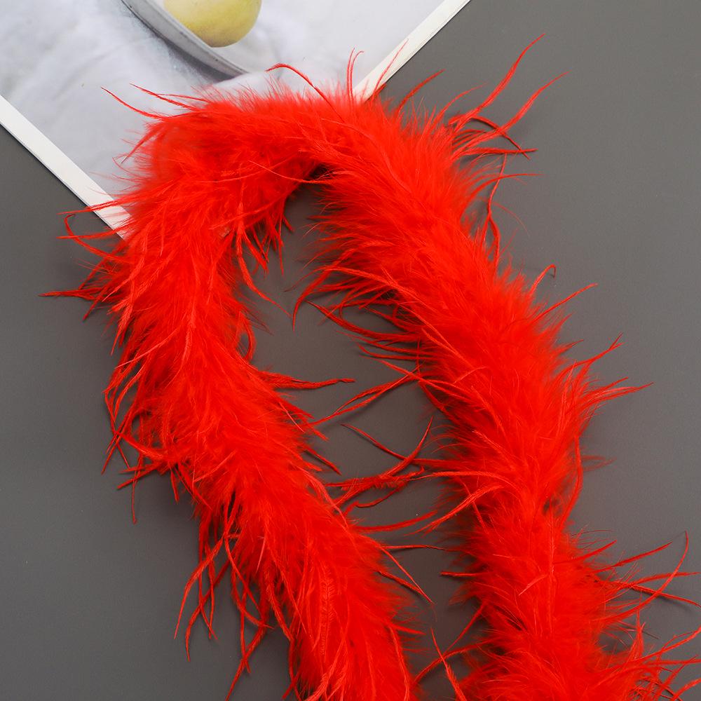 Strisce di Piume di Struzzo Colorate per Costumi da Ballo Fai-da-Te e Accessori
